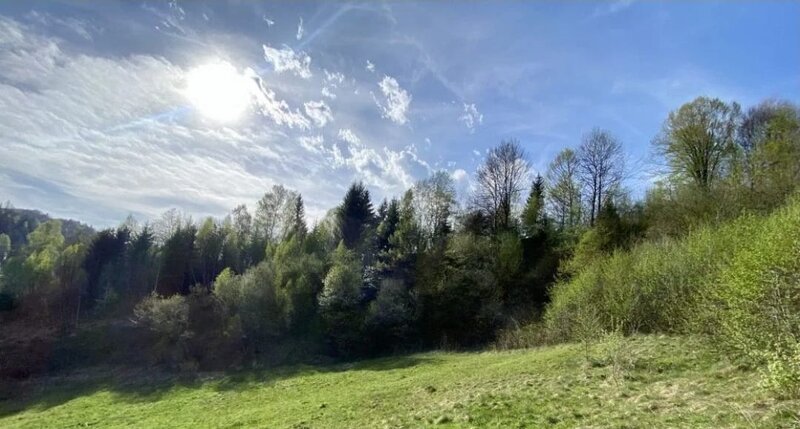 Negrasi, judetul Arges,